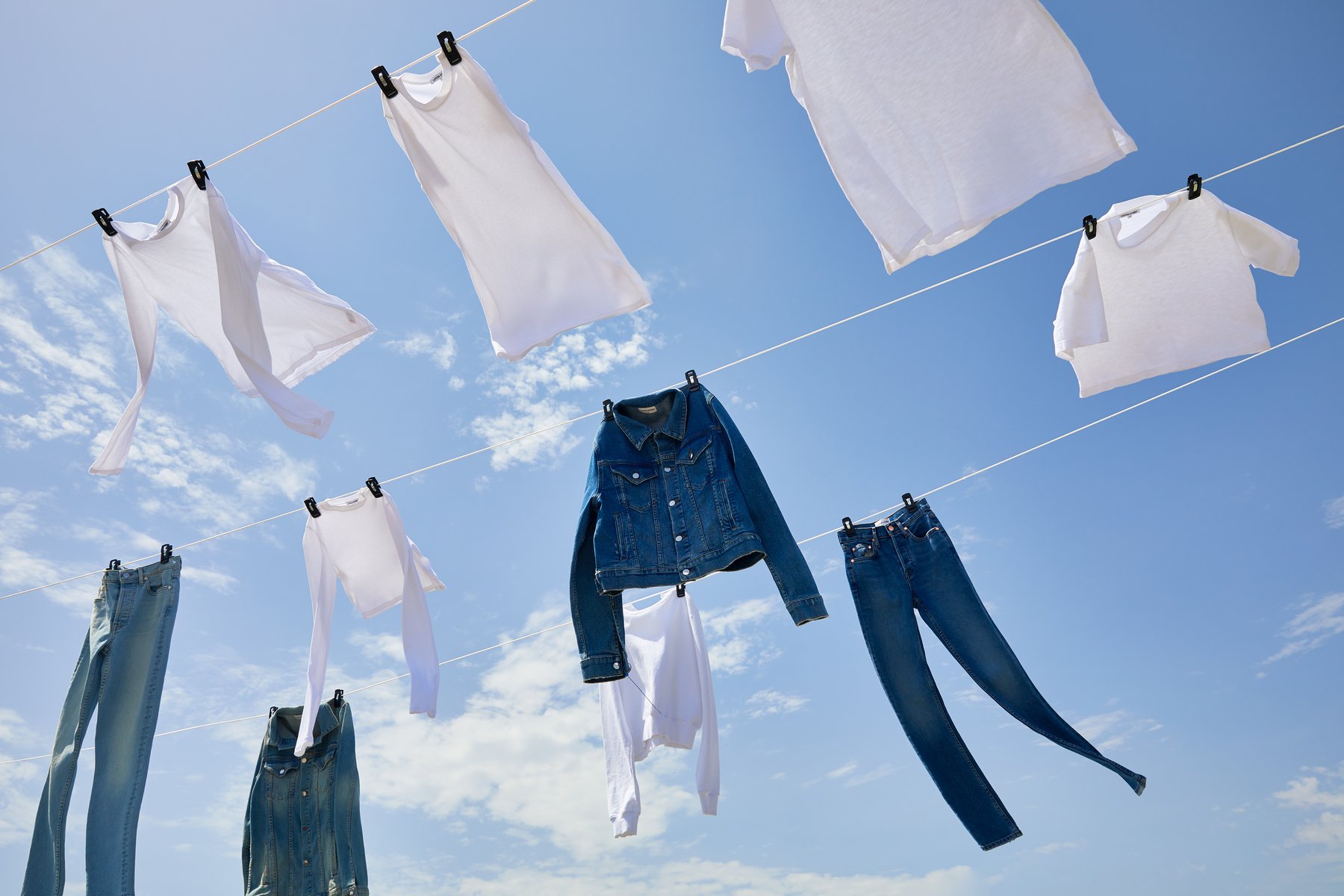 Cotton Citizen